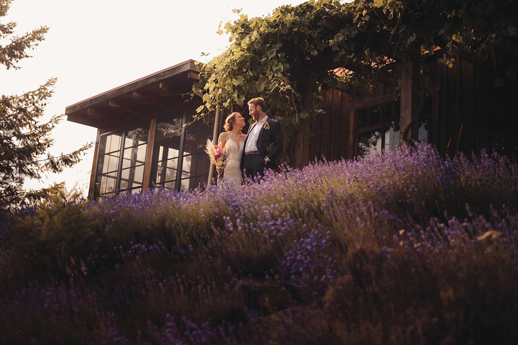 Lavender Cabin