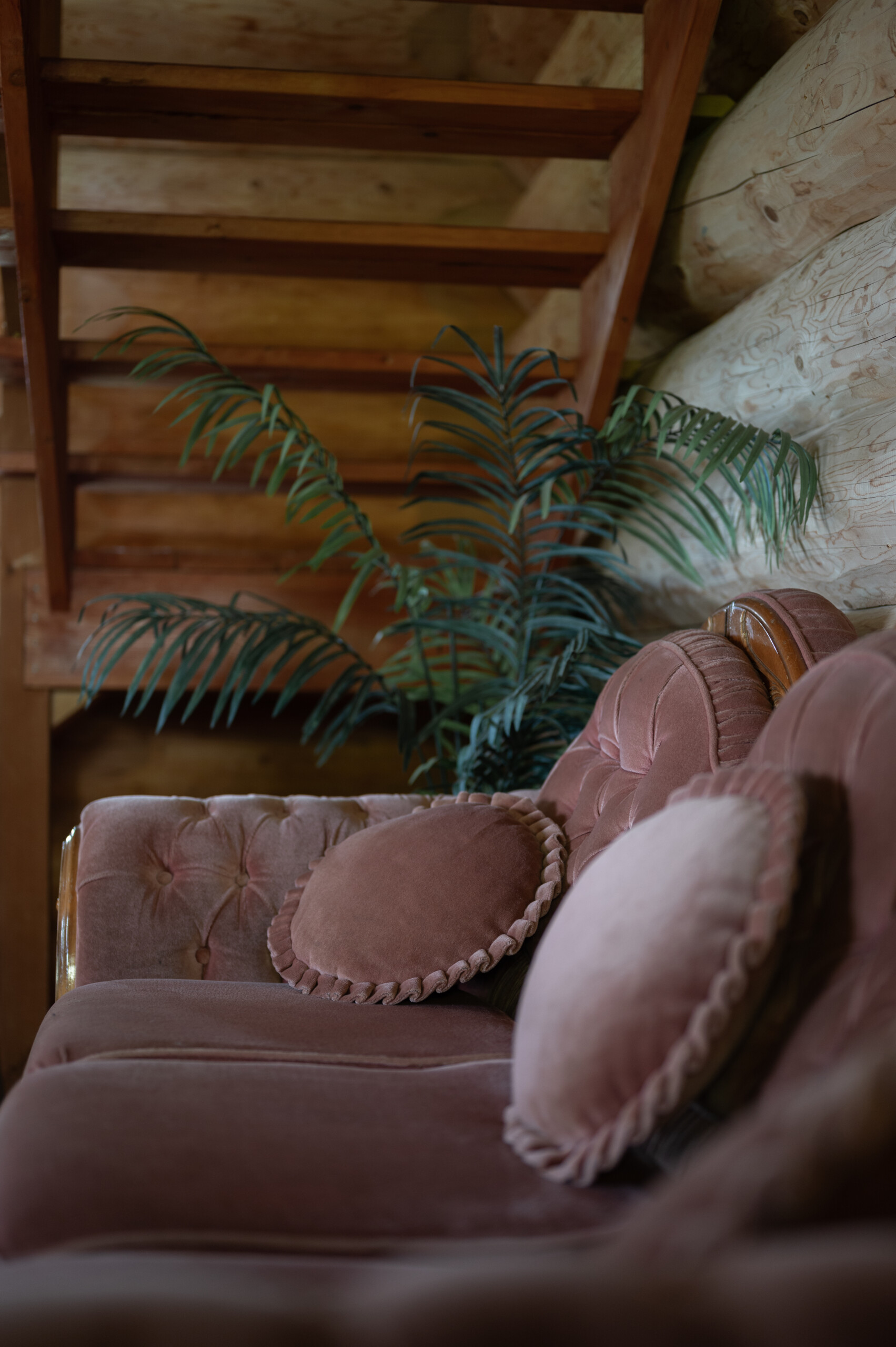 An antique pink couch.
