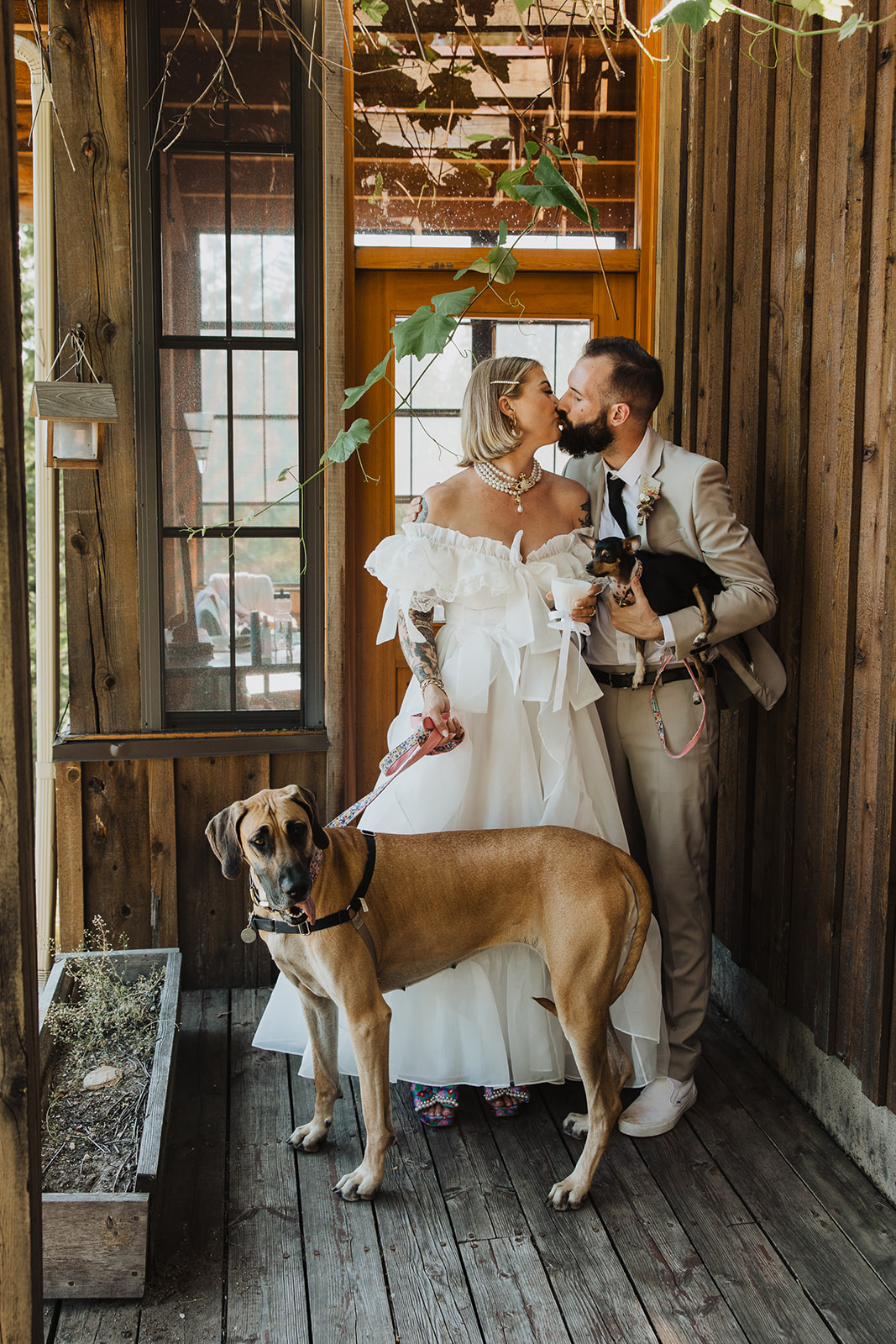 Cydney & Michael Bride standing in the doorway of a rustic cabin before her forest wedding ceremony.