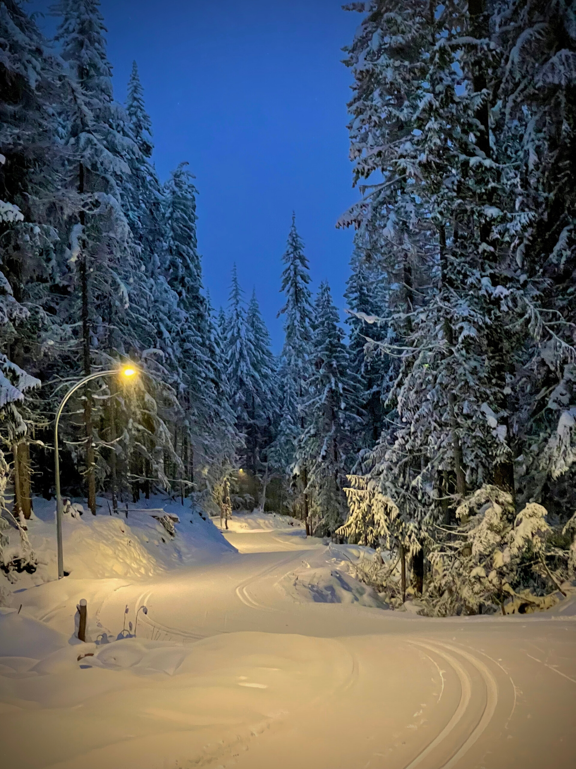larch-hills-nordic-ski-trails-near-tin-poppy Night skiing at Larch Hills Nordics.