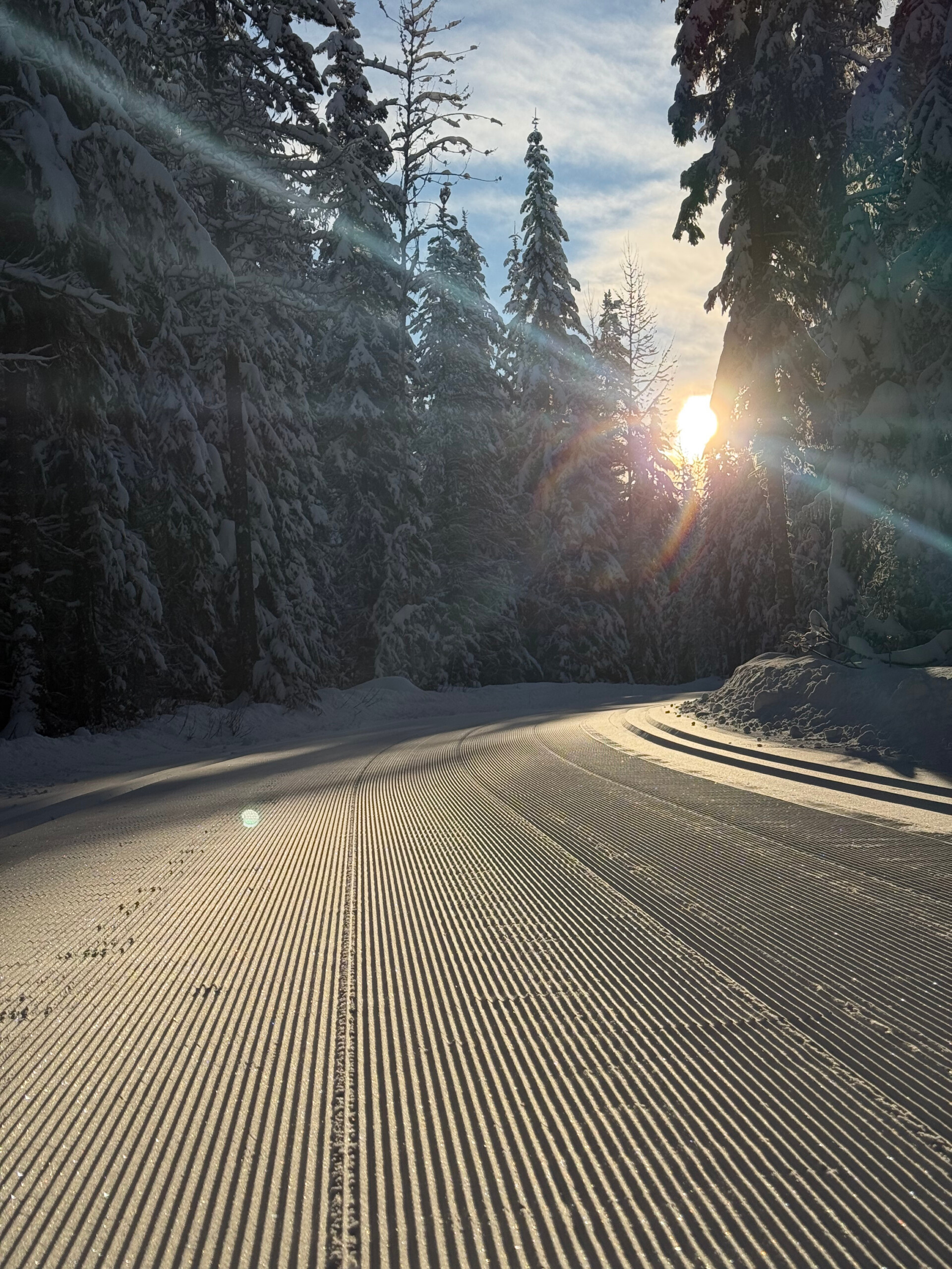 larch-hills-ski-trails-in-the-morning